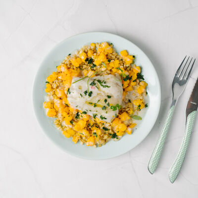 Filet de lieu à l'estragon, crème veloutée, potimarron rôti et blé