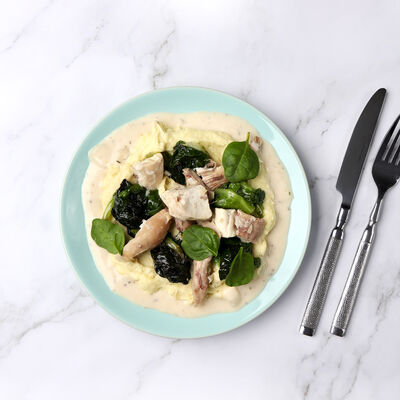 Poulet au cidre, mousseline de blanc de poireau et laitue braisée