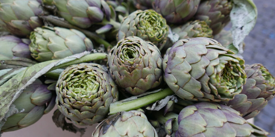 L'artichaut, l'aliment bien-être délicieux !