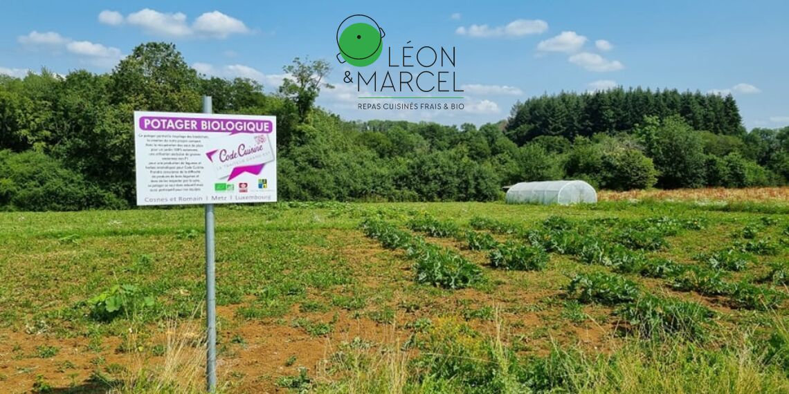 Certification bio : pourquoi ne pouvons-nous pas planter des semences personnelles dans le potager de Léon et Marcel ?