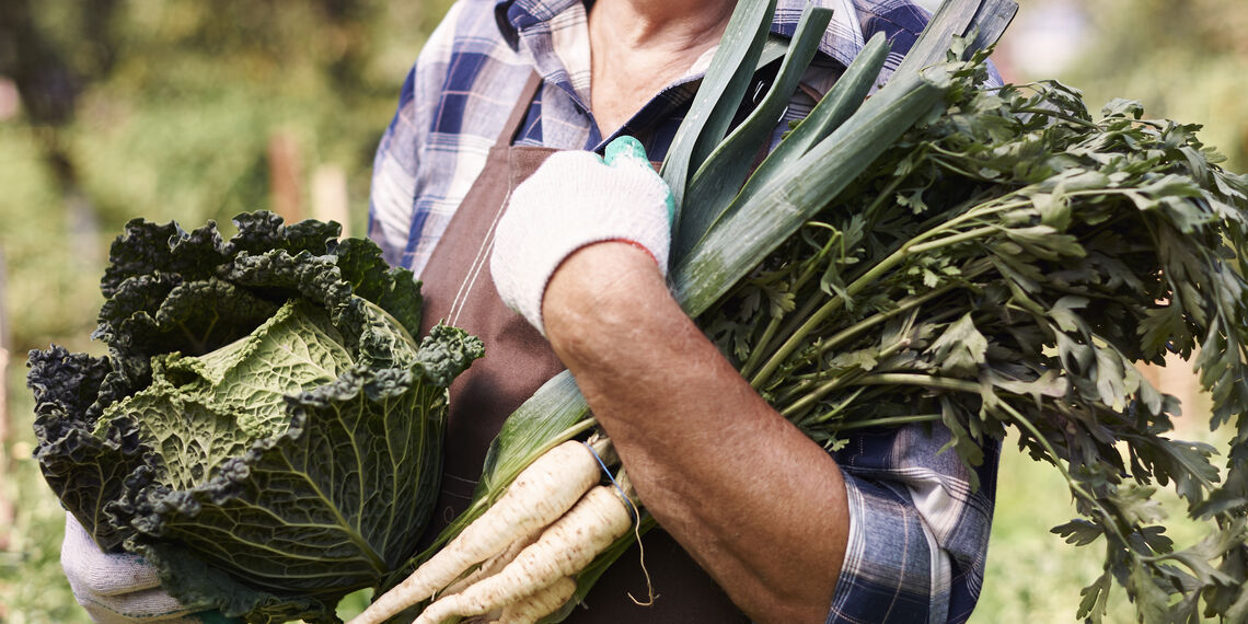 Peut-on parler de “bio” en restauration sans certification ?